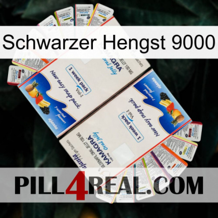 Black Stallion 9000 kamagra1